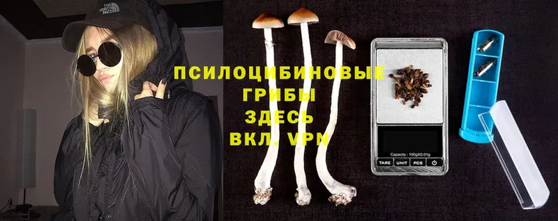 Галлюциногенные грибы MAGIC MUSHROOMS  Елабуга 